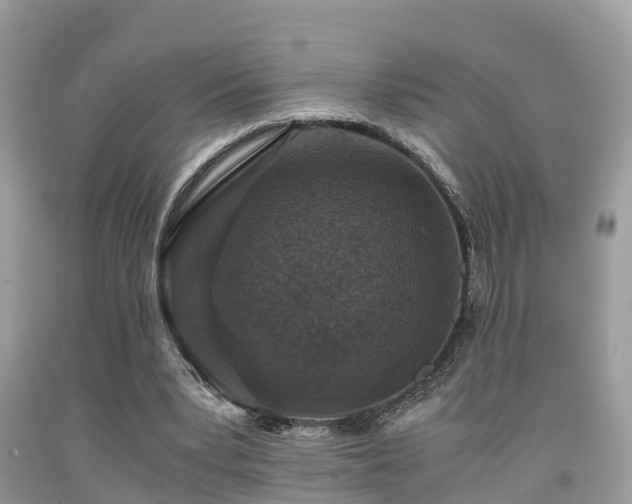 X0000091960391200709061306