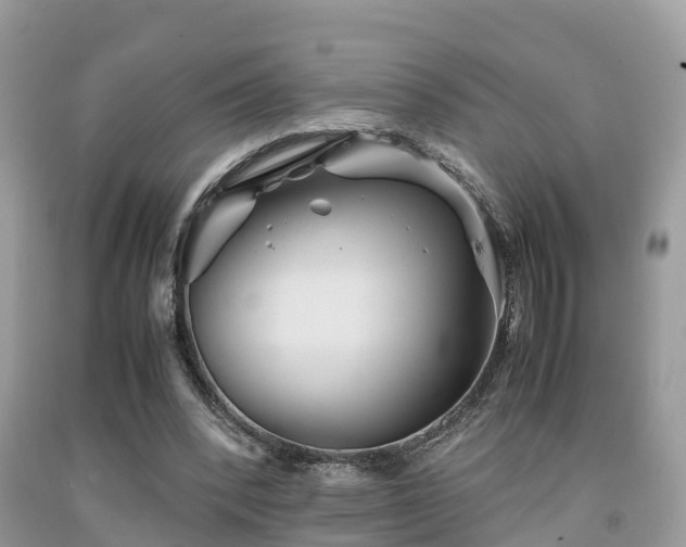 X0000091960392200709061306