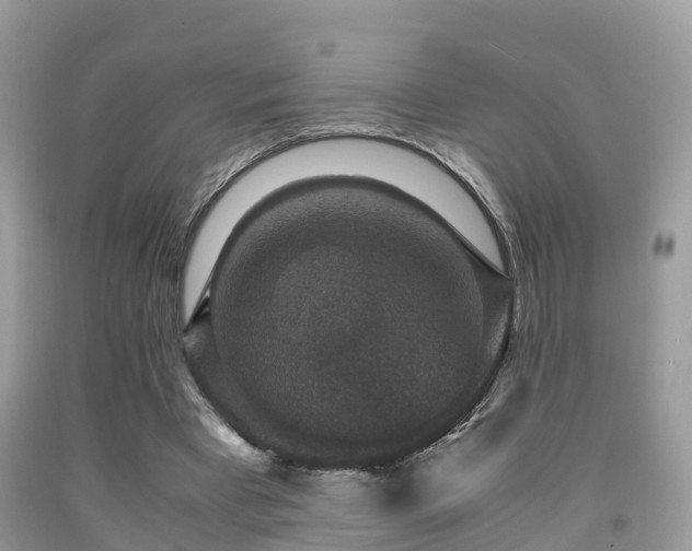 X0000091960393200709061306