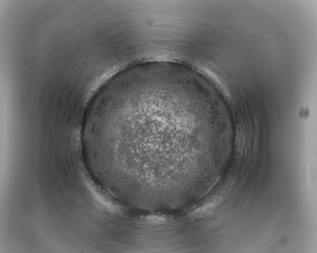 X0000091960394200709061306