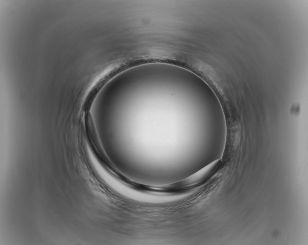 X0000091960395200709061306