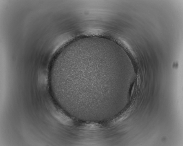 X0000091960396200709061306