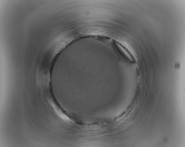 X0000091960397200709061306