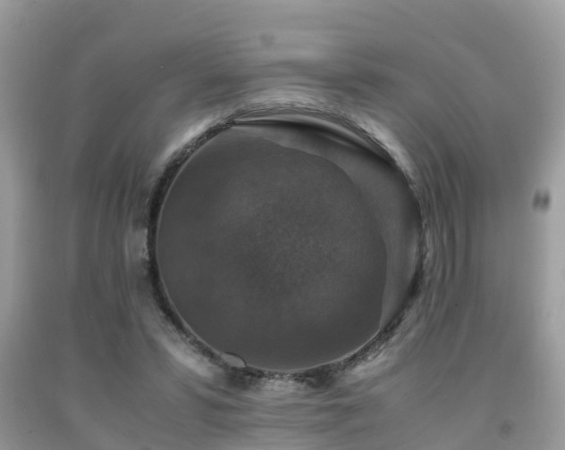 X0000091960399200709061306