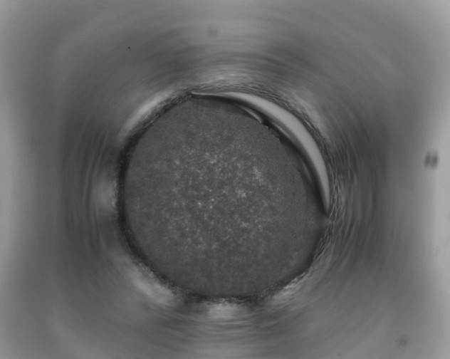 X0000091960400200709061306