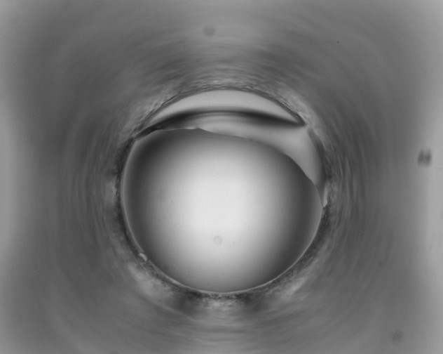 X0000091960401200709061305