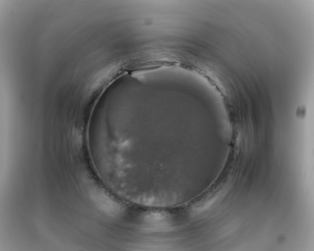 X0000091960402200709061305