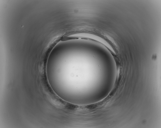 X0000091960403200709061305