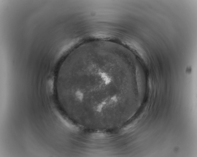 X0000091960404200709061305