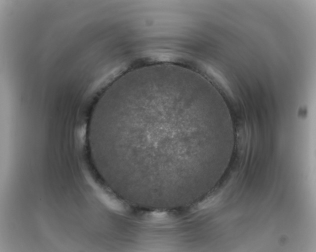 X0000091960406200709061305