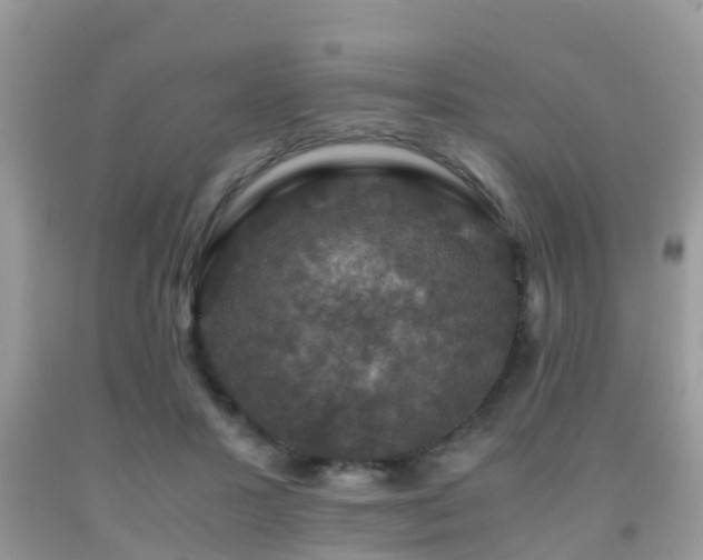 X0000091960407200709061305