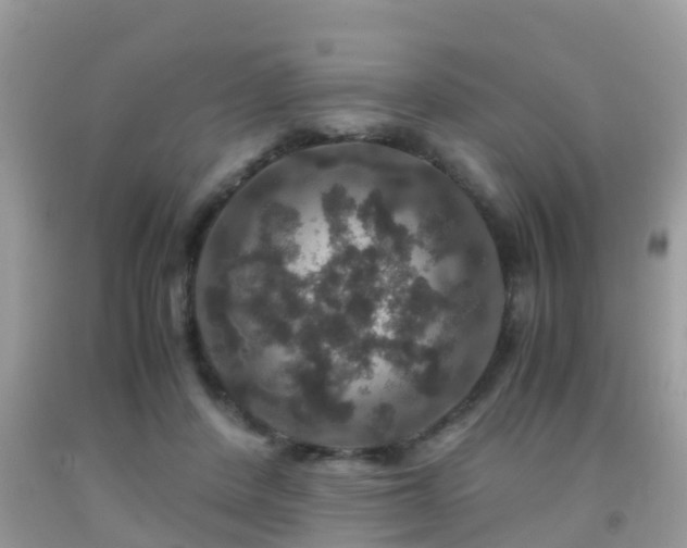 X0000091960408200709061305