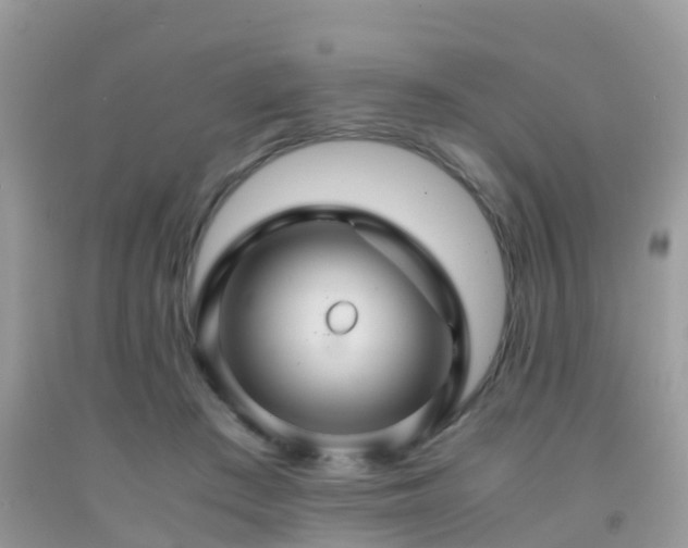 X0000091960409200709061305