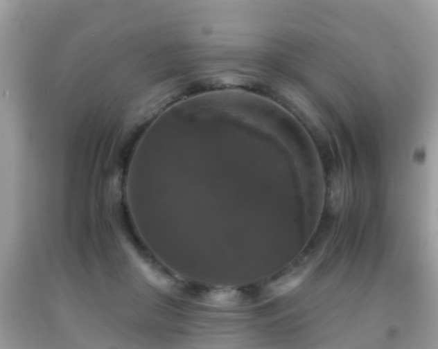 X0000091960410200709061305