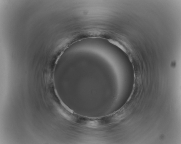 X0000091960411200709061305