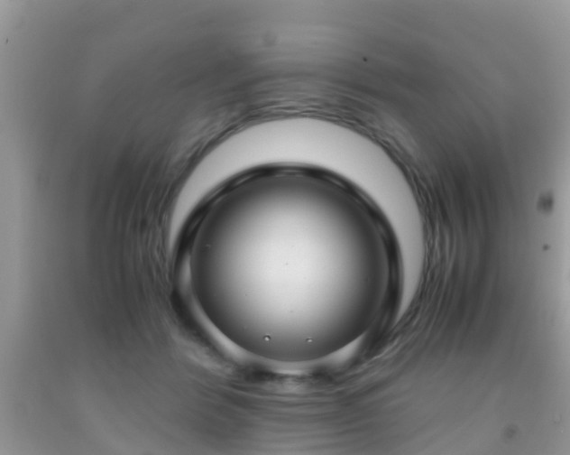 X0000091960412200709061305