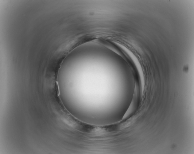 X0000091960413200709061305