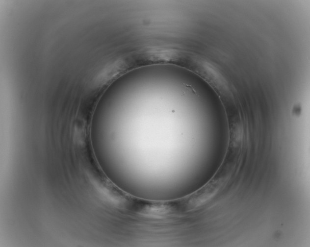 X0000091960414200709061305