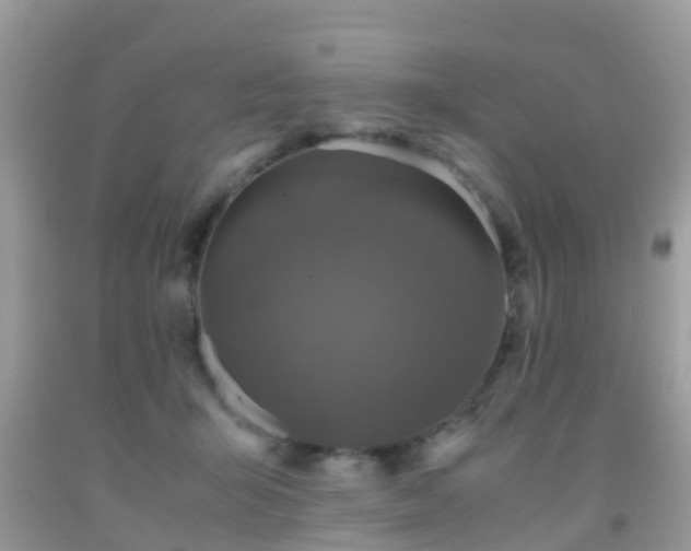 X0000091960415200709061305