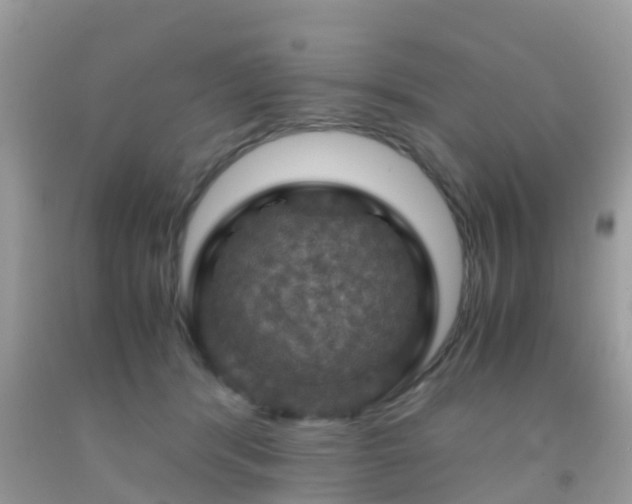 X0000091960416200709061305