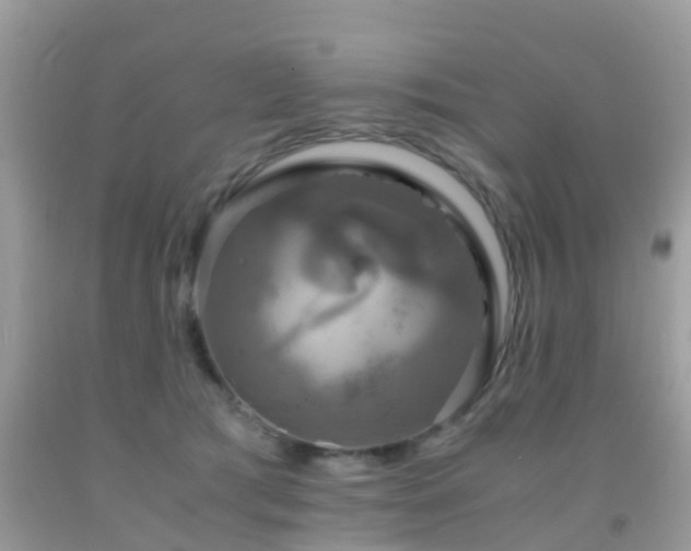 X0000091960417200709061305