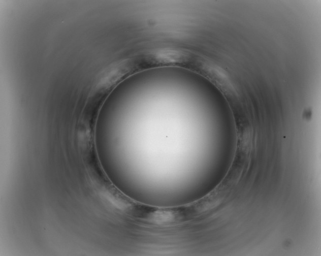 X0000091960418200709061305