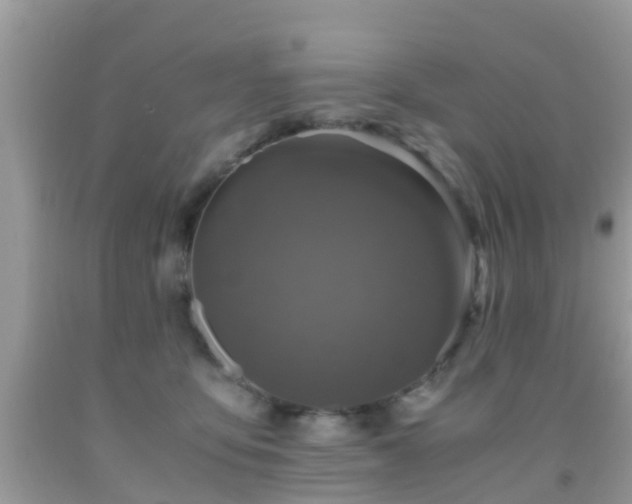 X0000091960419200709061305