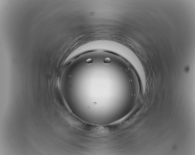 X0000091960421200709061305