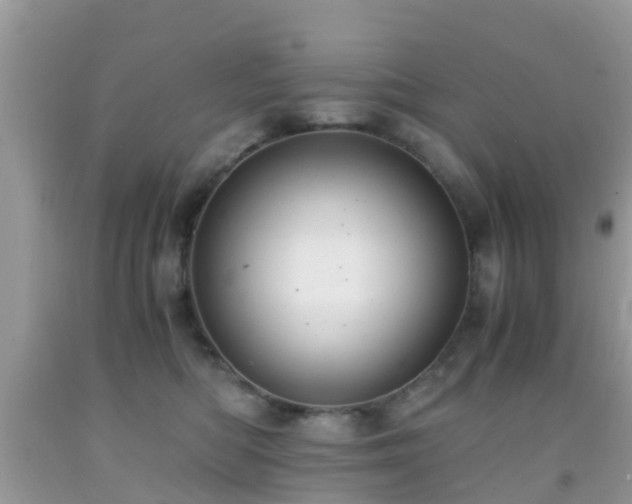 X0000091960422200709061305