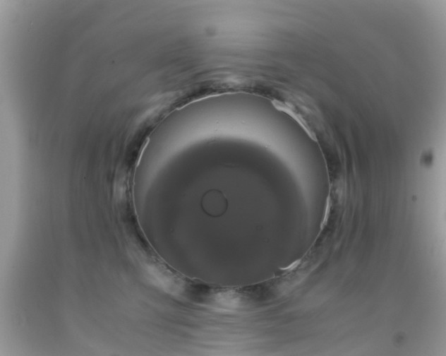 X0000091960423200709061305