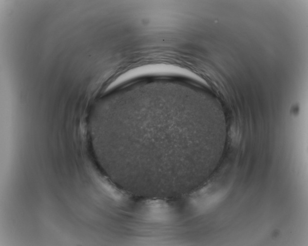 X0000091960424200709061305