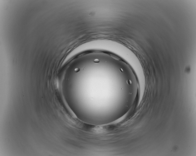 X0000091960425200709061305