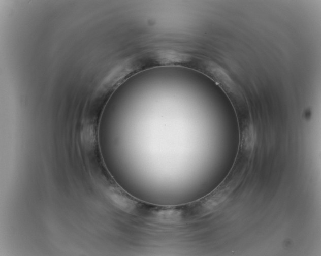 X0000091960426200709061305