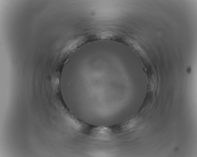 X0000091960427200709061305