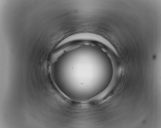 X0000091960428200709061305