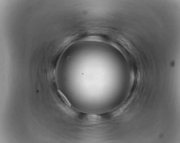 X0000091960429200709061305