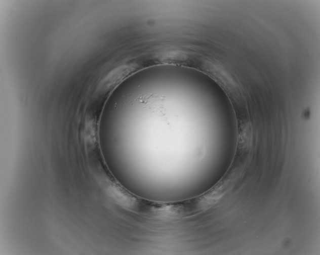 X0000091960430200709061305