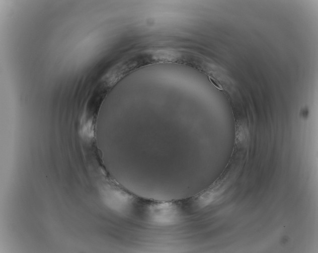 X0000091960431200709061305