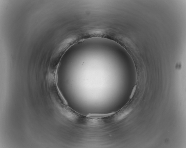 X0000091960432200709061305