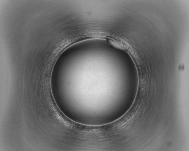 X0000091960433200709061305