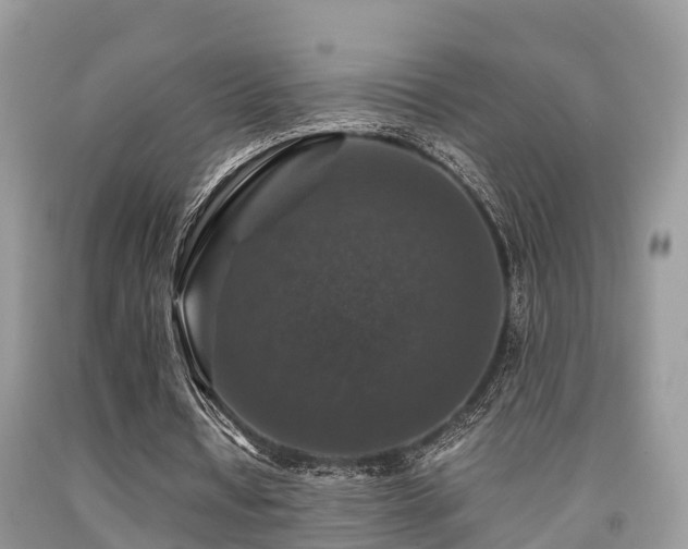 X0000091960434200709061305