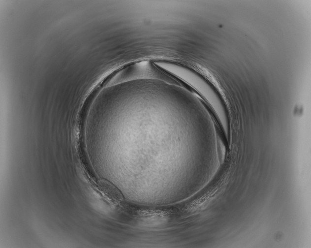 X0000091960435200709061305