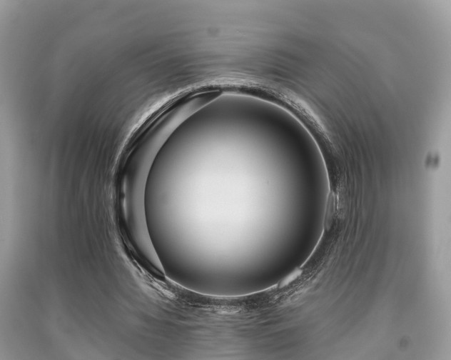 X0000091960436200709061305