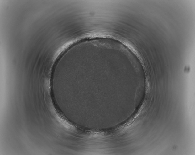 X0000091960438200709061305