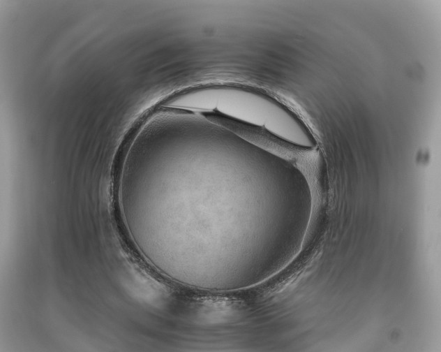 X0000091960439200709061305