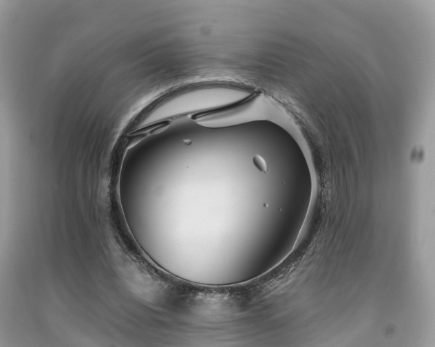 X0000091960440200709061305