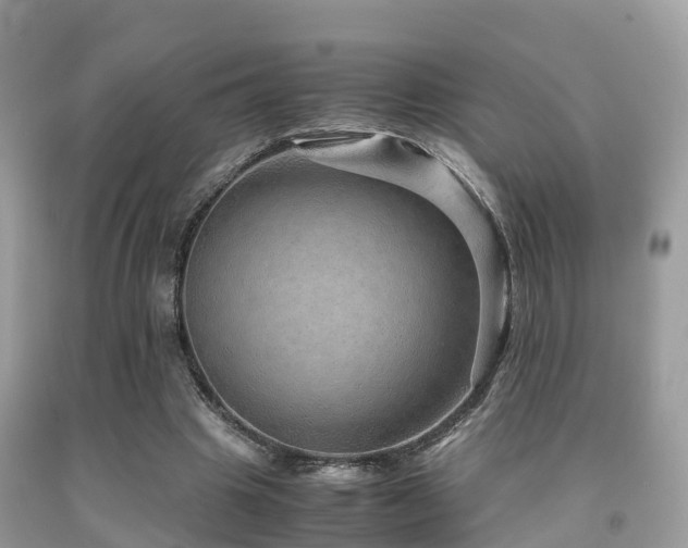 X0000091960441200709061305