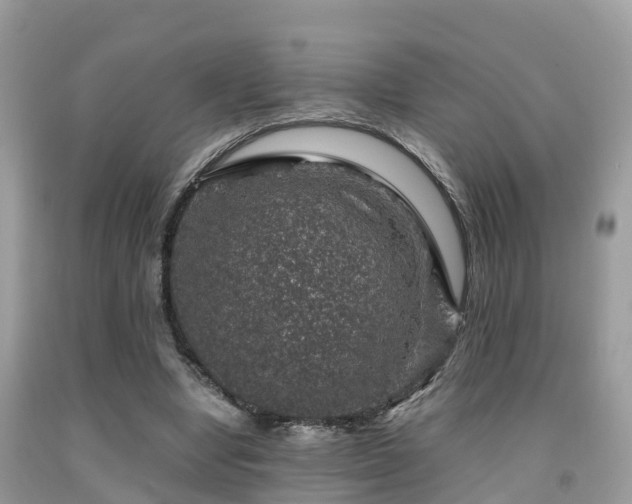 X0000091960442200709061305