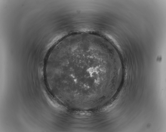 X0000091960443200709061305