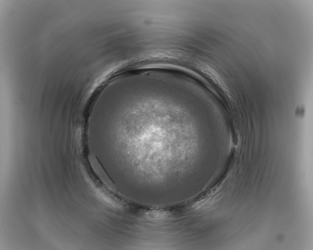 X0000091960444200709061305